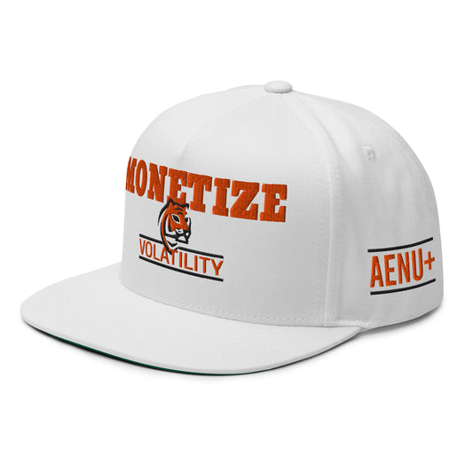 Monetize Volatility Cap 1