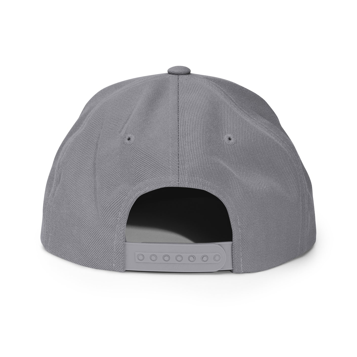 Lions Alternate Grey Snapback