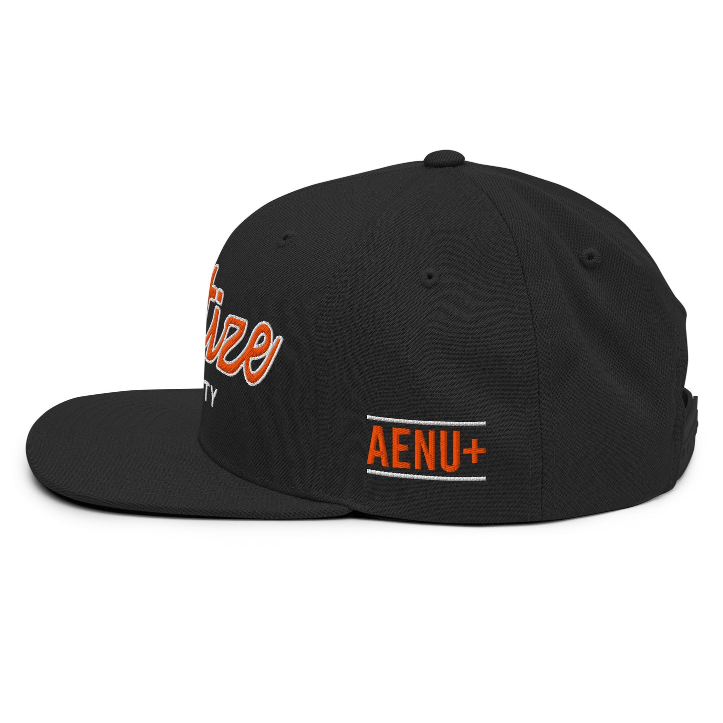 Monetize Volatility Retro Script Snapback